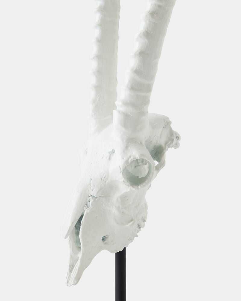 Corno Sculpture, Matte White