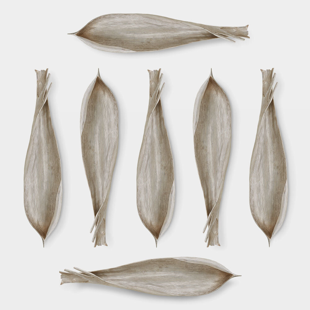Palm Seed Wall Sculpture, Nickel