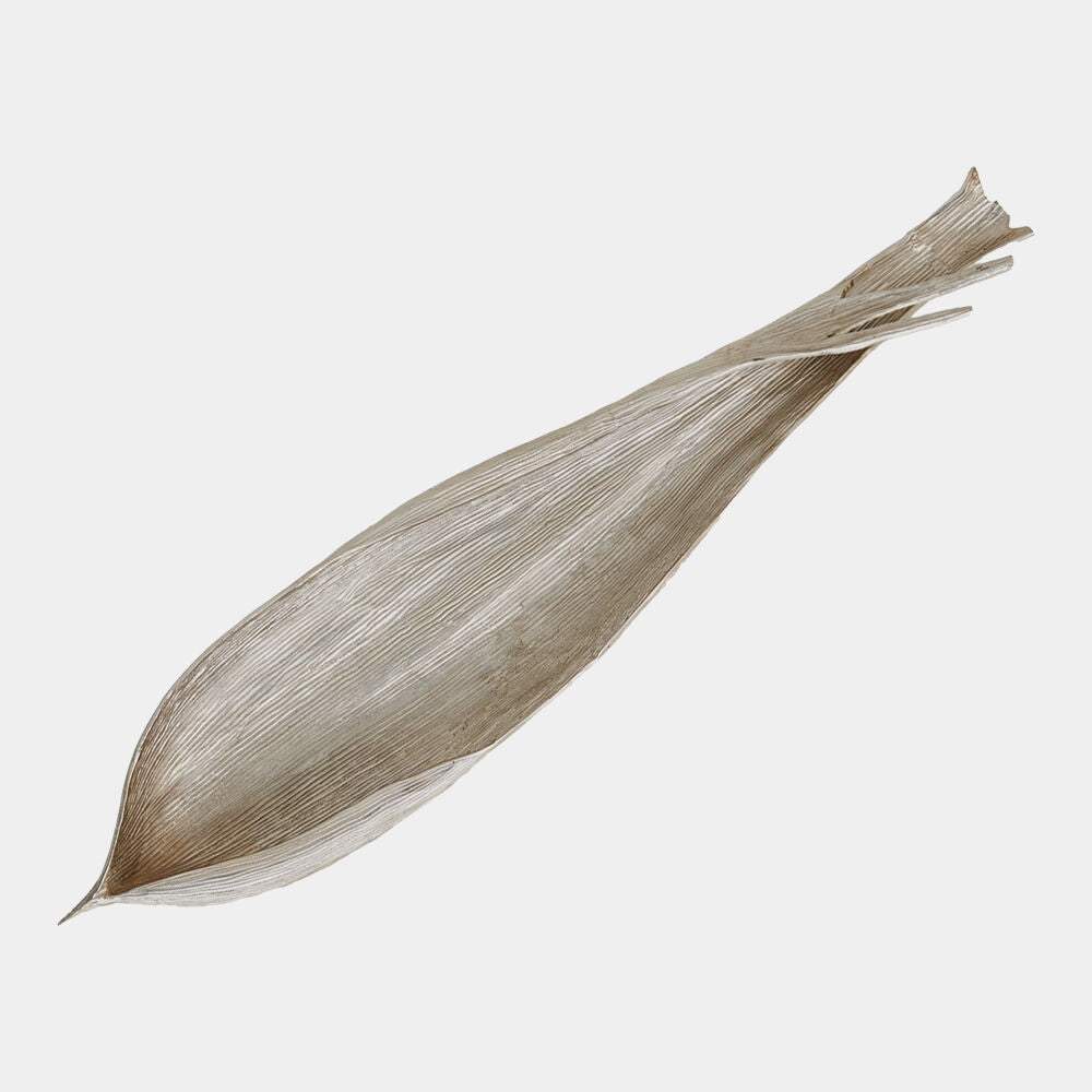 Palm Seed Wall Sculpture, Nickel