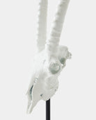 Corno Sculpture, Matte White