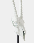 Corno Sculpture, Matte White