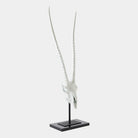 Corno Sculpture, Matte White