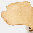 Ventaglio Side Table