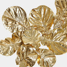 Fico Lighted Wall Sculpture, Brass