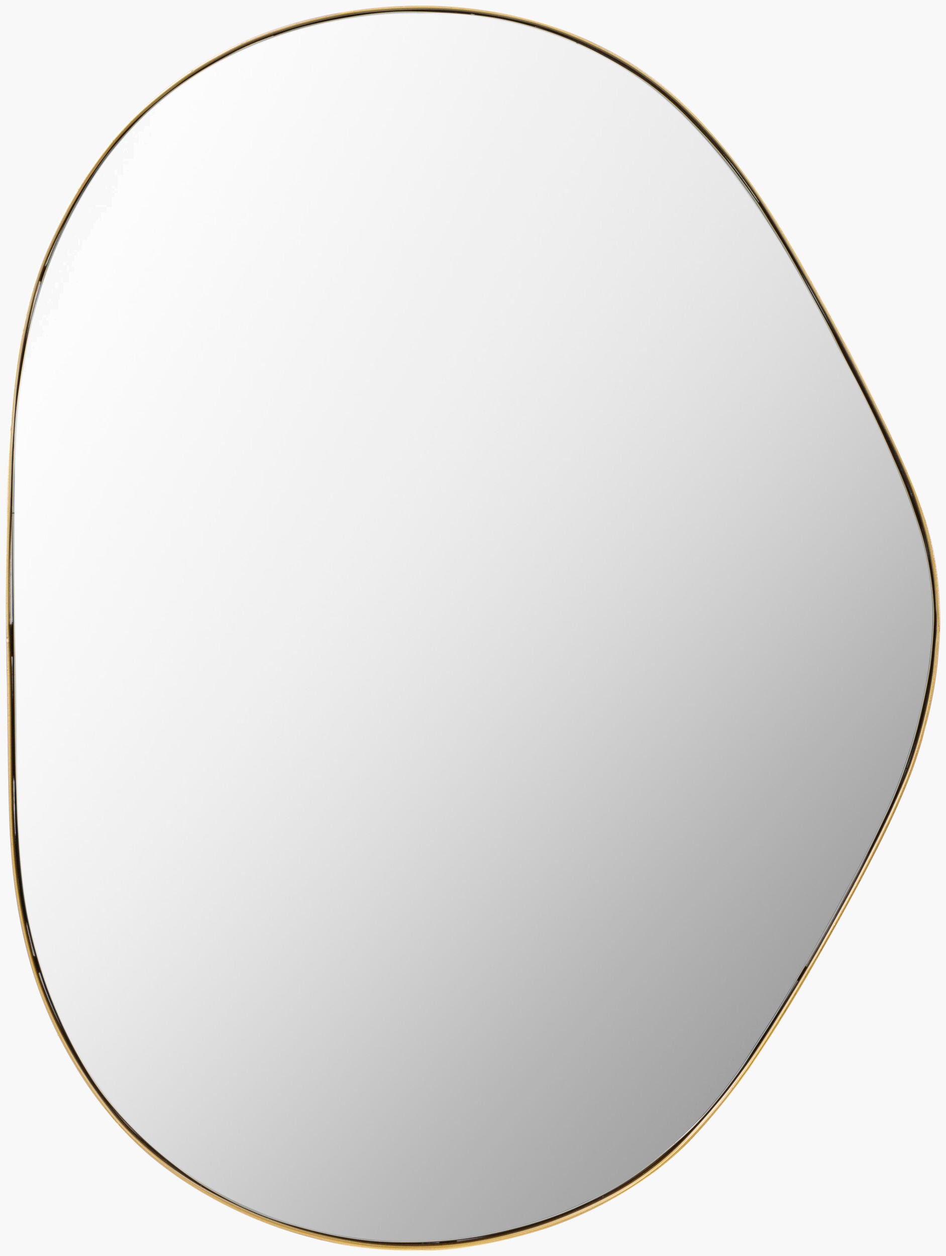Aamnah gold accent mirror