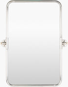 Burnish pivot mirror