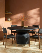 Lanyard Dining Chair, Set of 2